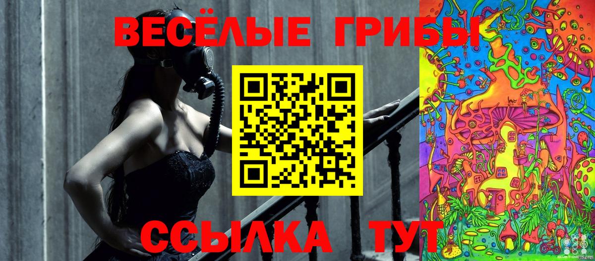 Валуйки  Псилоцибиновые грибы мицелий  Вход с VPN 