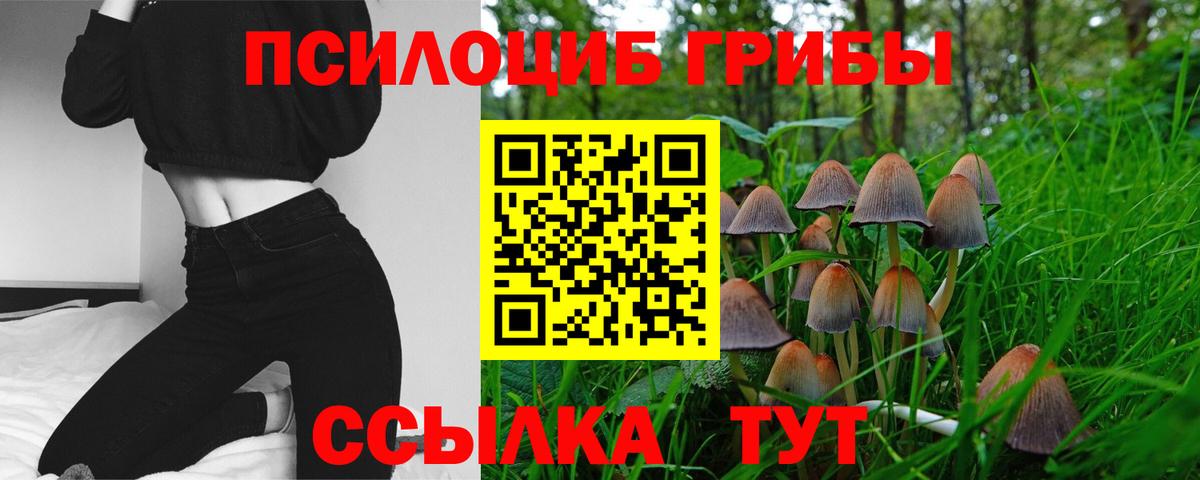 Галлюциногенные грибы мицелий Валуйки